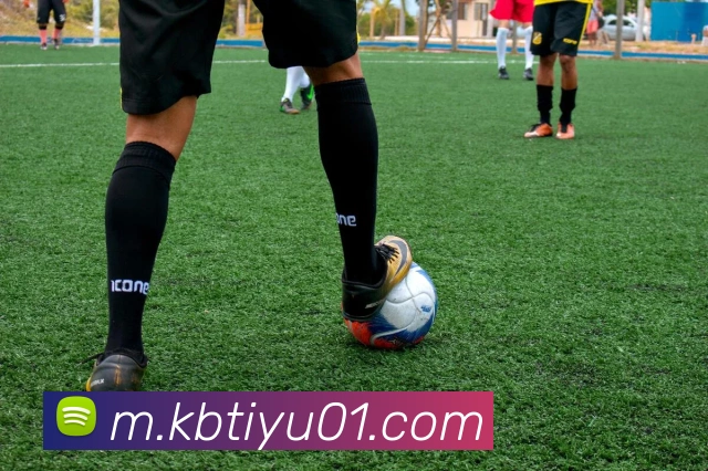 多媒体互动体验