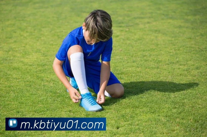 kb体育官网APP 高清赛事图